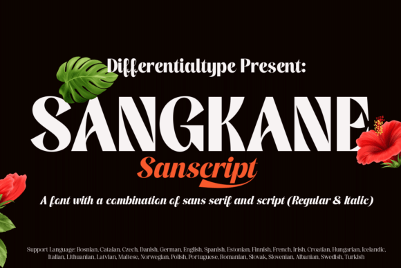 Sangkane Sanscript: A Bold, Modern Script Font That Actually Works