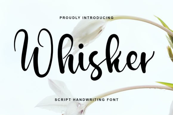 Whisker: A Dainty Script Font for Thoughtful Editorial Moments